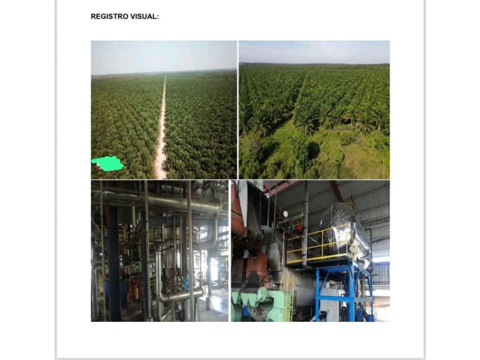 FINCA PALMERA EN VENTA, VIA PUERTO GAITAN - RUBIALES - 1