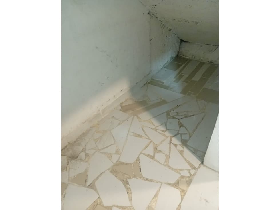 Local en arriendo en el sector la Castellana - 1