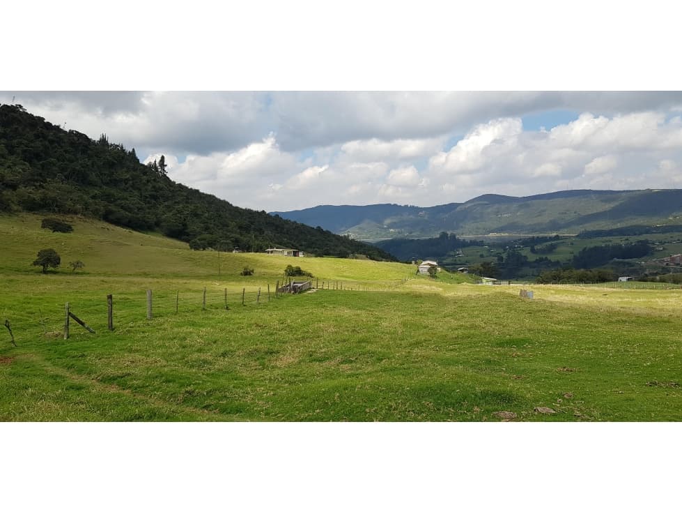 Lote en La Calera vereda El Rodeo a 10 minutos por vía Pavimentada - 1