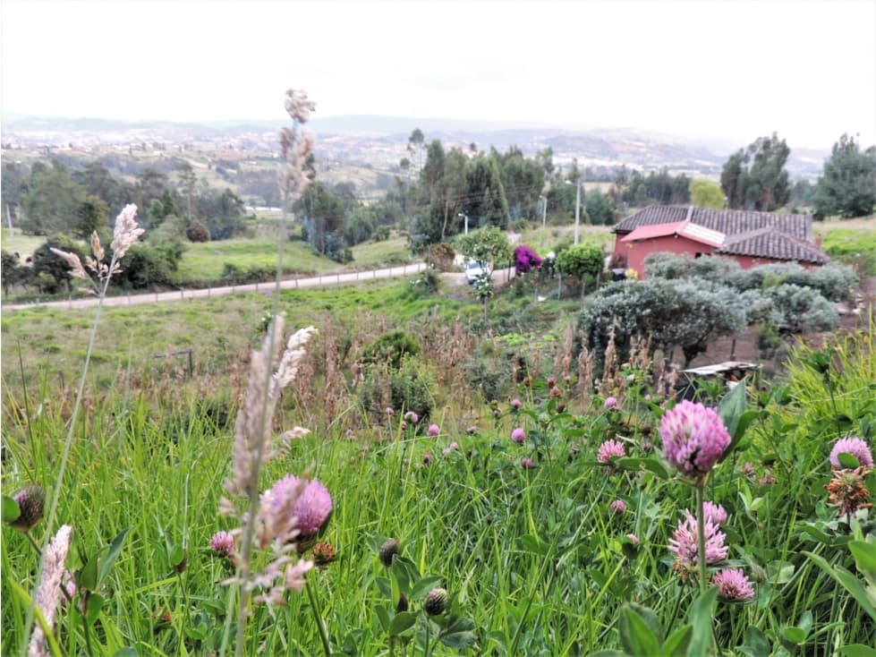 VENDO FINCA EN SOTAQUIRÁ BOYACA - 1