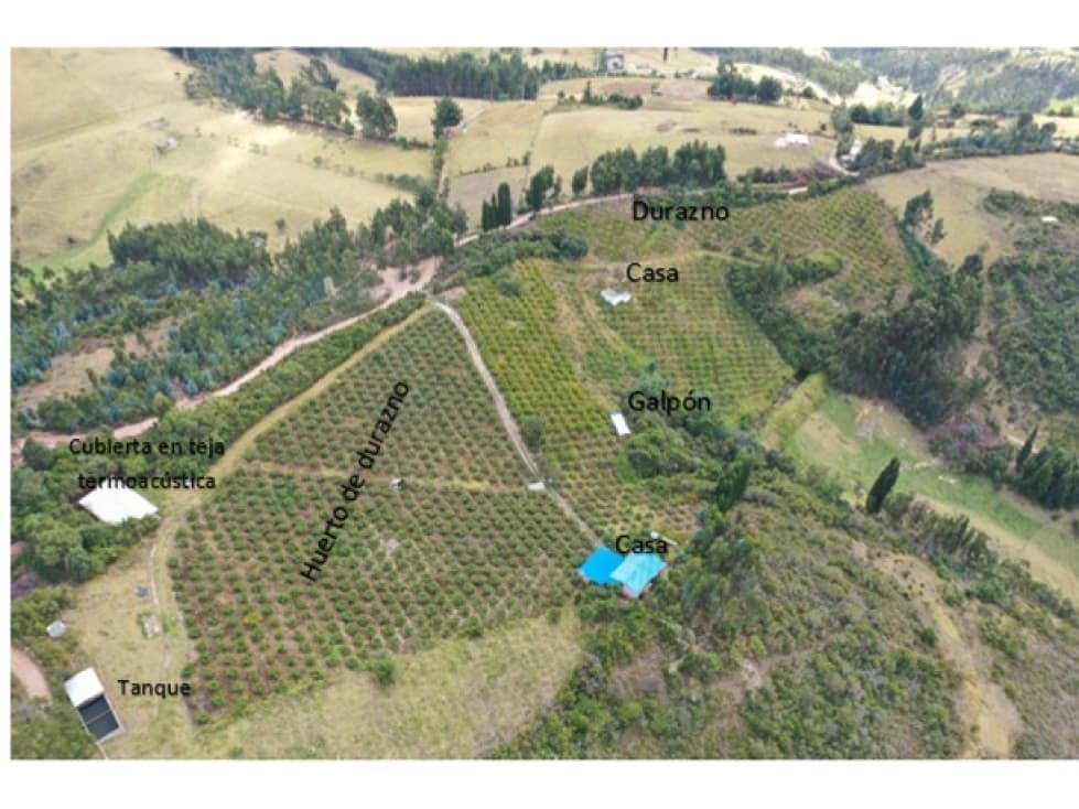 VENDO EN PAIPA BOYACA HERMOSA FINCA EN PRODUCCIÓN - 1