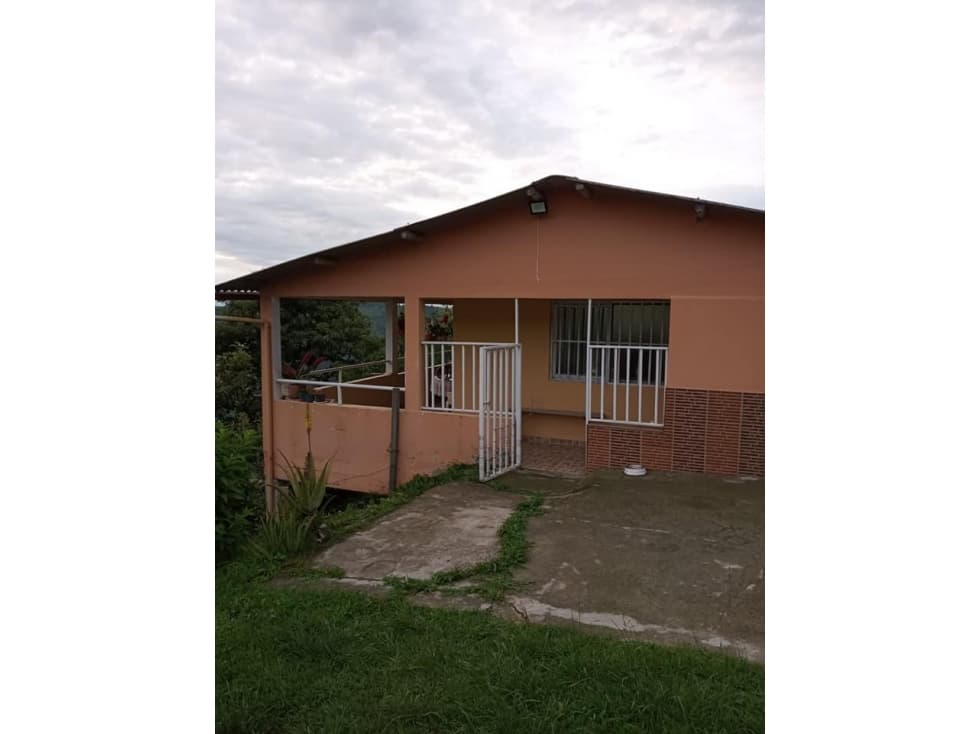 EN VENTA FINCA PRODUCTIVA VILLAMARIA VEREDA LLANITOS - 1