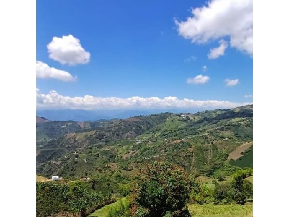 EN VENTA FINCA PUEBLO RICO NEIRA - 1