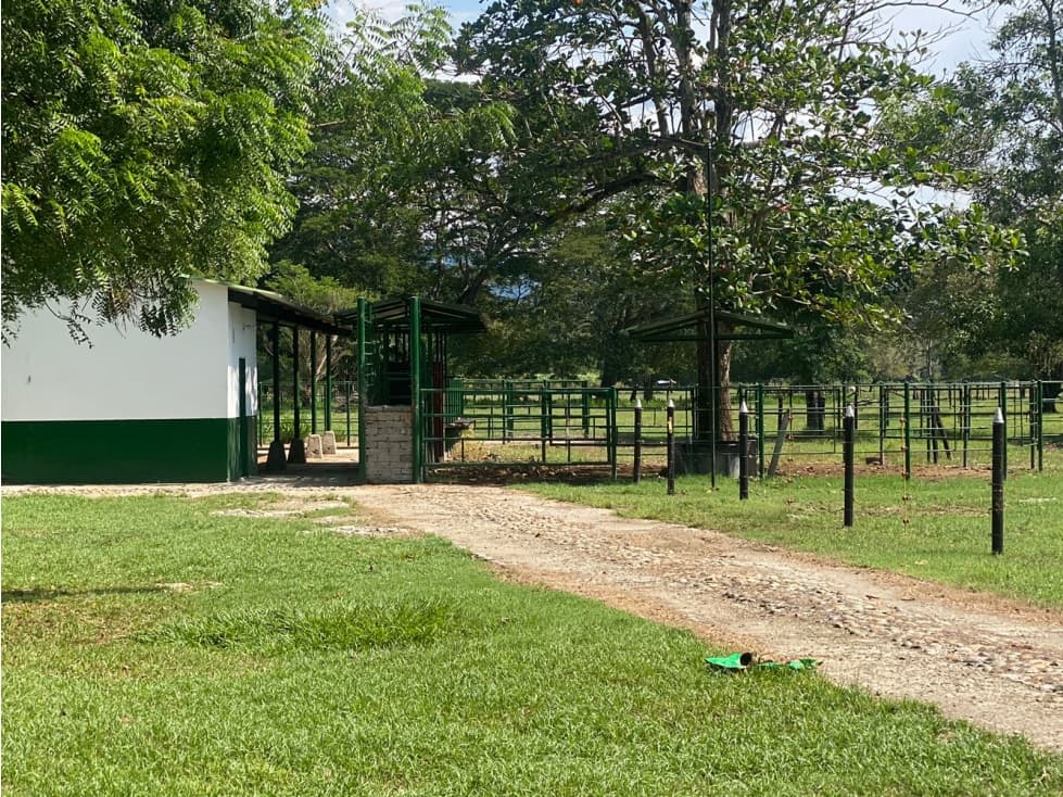 EN VENTA HERMOSA FINCA VIA LA DORADA HONDA - 1