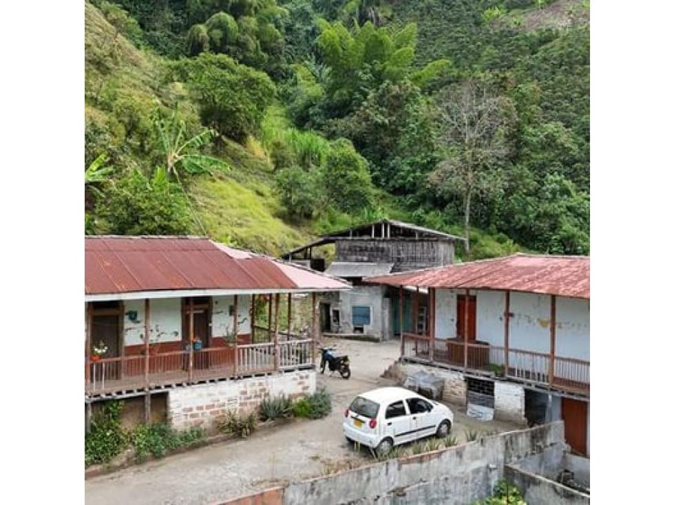 EN VENTA FINCA PRODUCTIVA VEREDA LLANITOS VILLAMARÍA CALDAS - 1