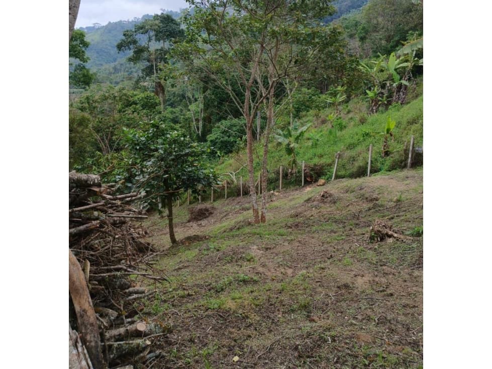 EN VENTA LOTE SANTISIMO VEREDA ROSA BLANCA KM 16 - 1