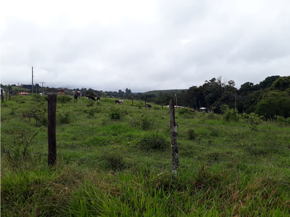 PARCELA EN VENTA EN LA PARCELACION LAS VEGAS, POPAYÁN - 1