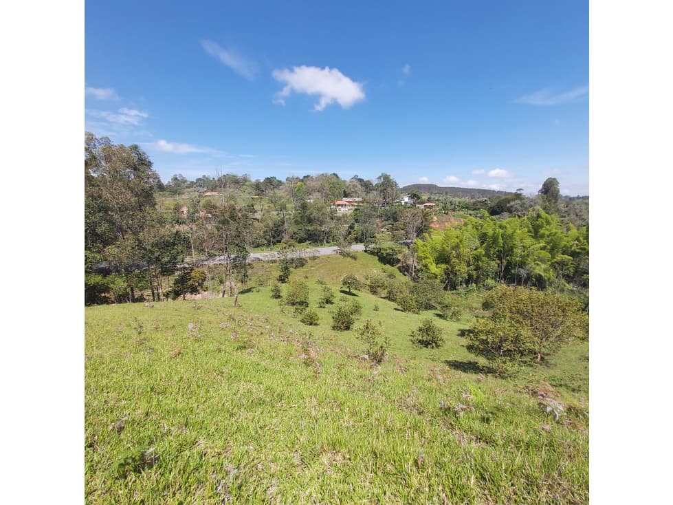 PARCELA EN VENTA EN EL SECTOR LOS ROBLES, VÍA PANAMERICANA, TIMBIO - 1