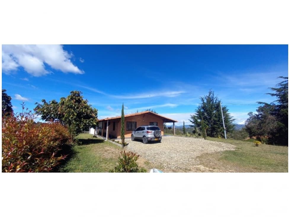 Finca en venta en San Vicente de Ferrer - 1