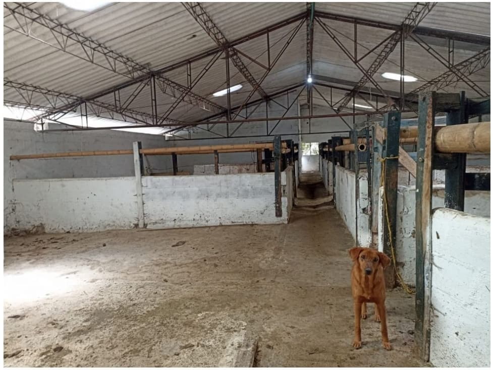 Venta Finca Productiva con Potencial de Desarrollo Guarne, Antioquia - 1