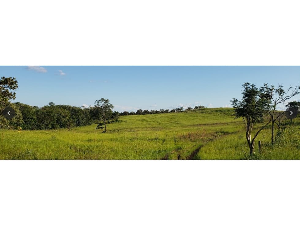 FINCA LA LORENA - VISTA HERMOSA - 1