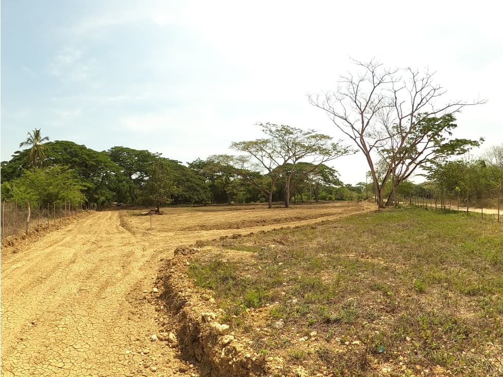 CARTAGENA VENTA LOTE 1 HA PARA PROYECTO RESIDENCIAL EN TURBACO - 1