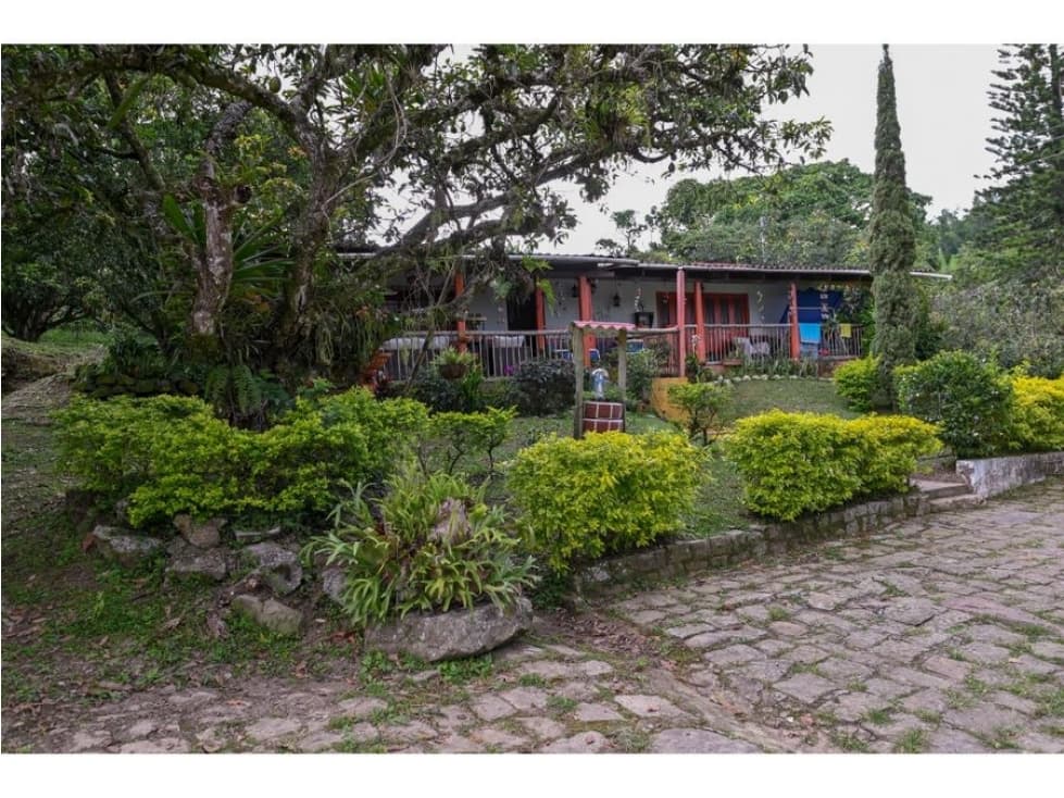VENTA EXCELENTE FINCA SASAIMA, 21000 MTS - 1