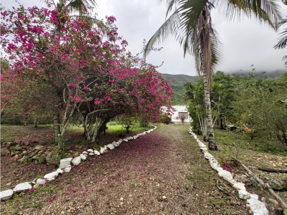 Finca en Venta Apulo/ Tocaima - 1