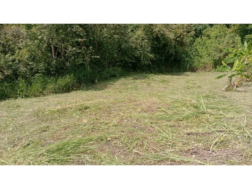 VENDO LOTE APULO CUNDINAMARCA - 1