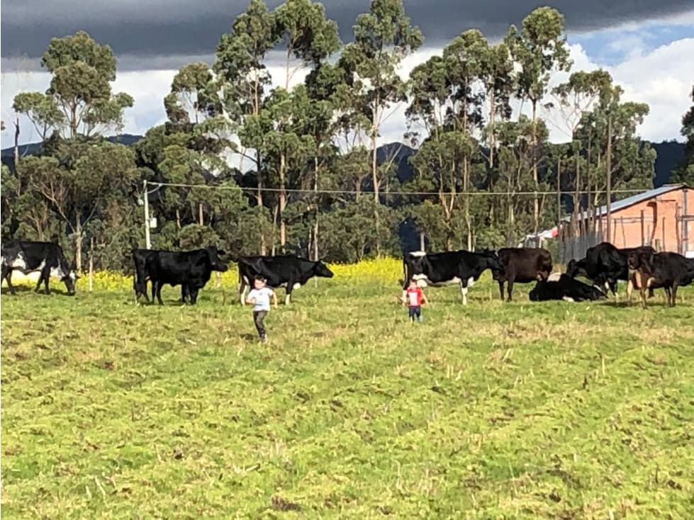 Venta Finca en El Rosal, vereda La Piñuela - 1