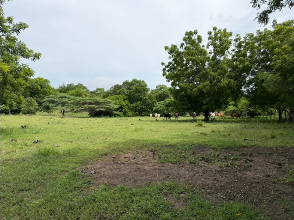 Lote Palmarcito, Girardot, Vereda Guabinal para venta - 1