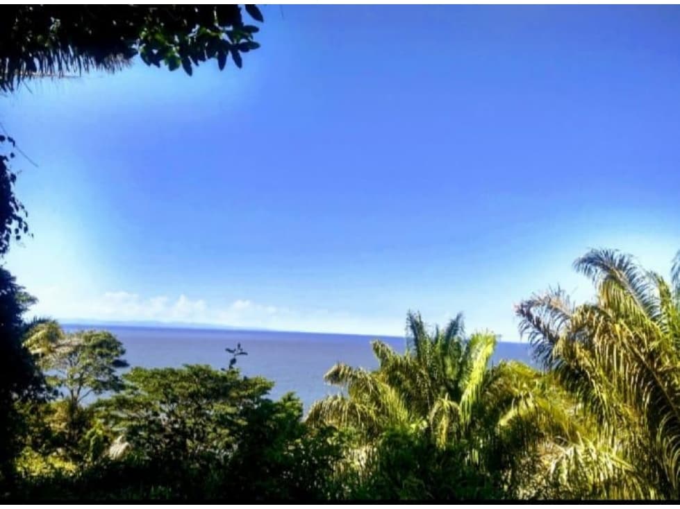 VENTA LOTE, NECOCLÍ, ANTIOQUIA, COLOMBIA - 1