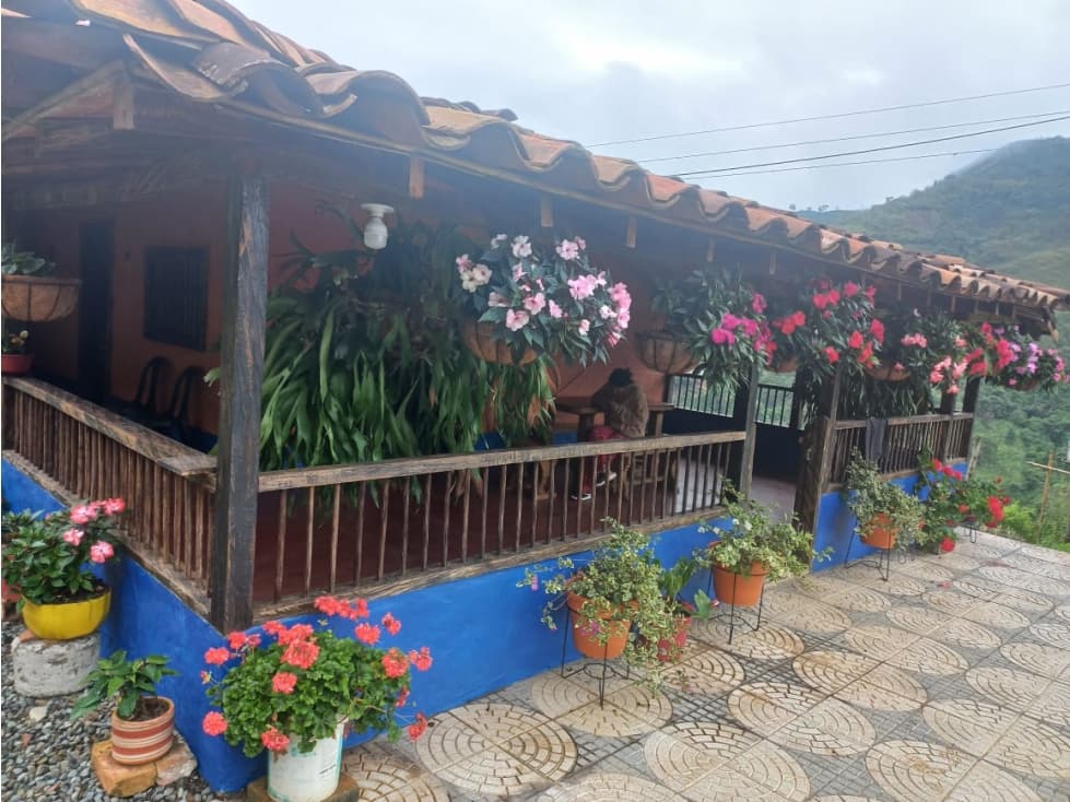 VENTA FINCA CAFETERA EN PUEBLORRICO, SECTOR GALILEA - 1