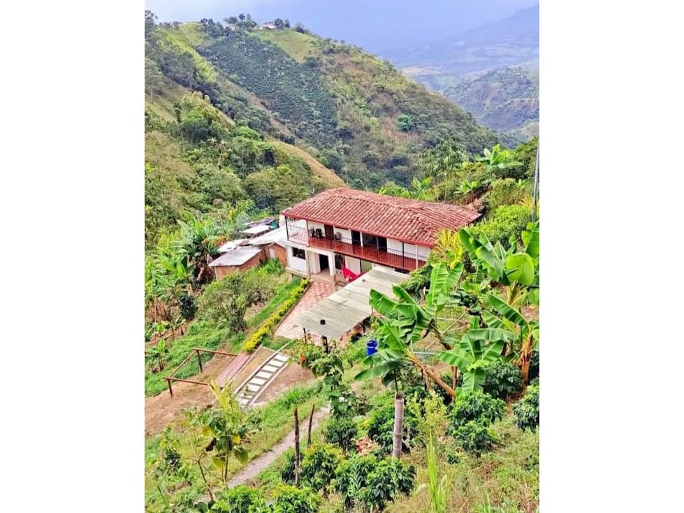 VENTA DE FINCA EN SANTA BÁRBARA - 1