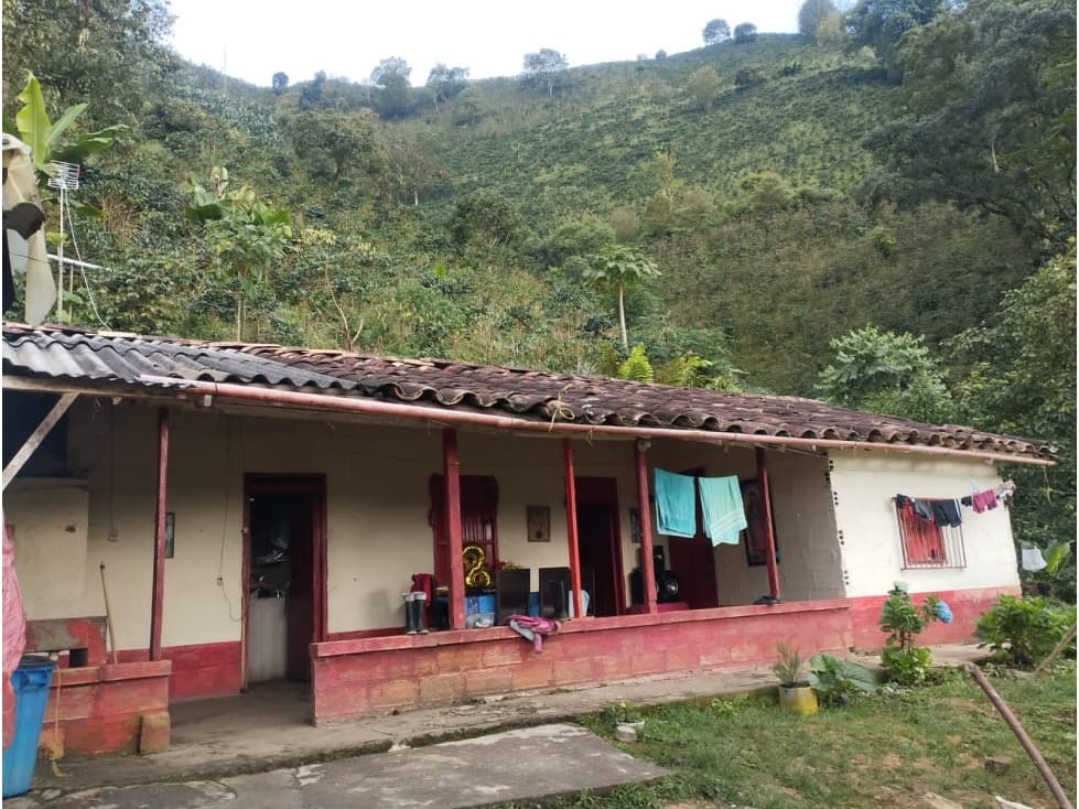 VENTA FINCA CAFETERA EN BETANIA - 1