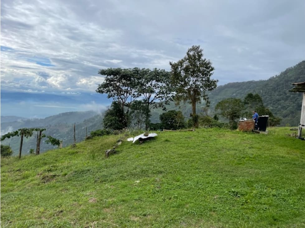 (MP) LOTE EN GINEBRA, VALLE - 1