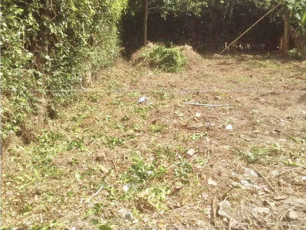 (MJ) LOTE EN VENTA EN ROZO, VALLE - 1