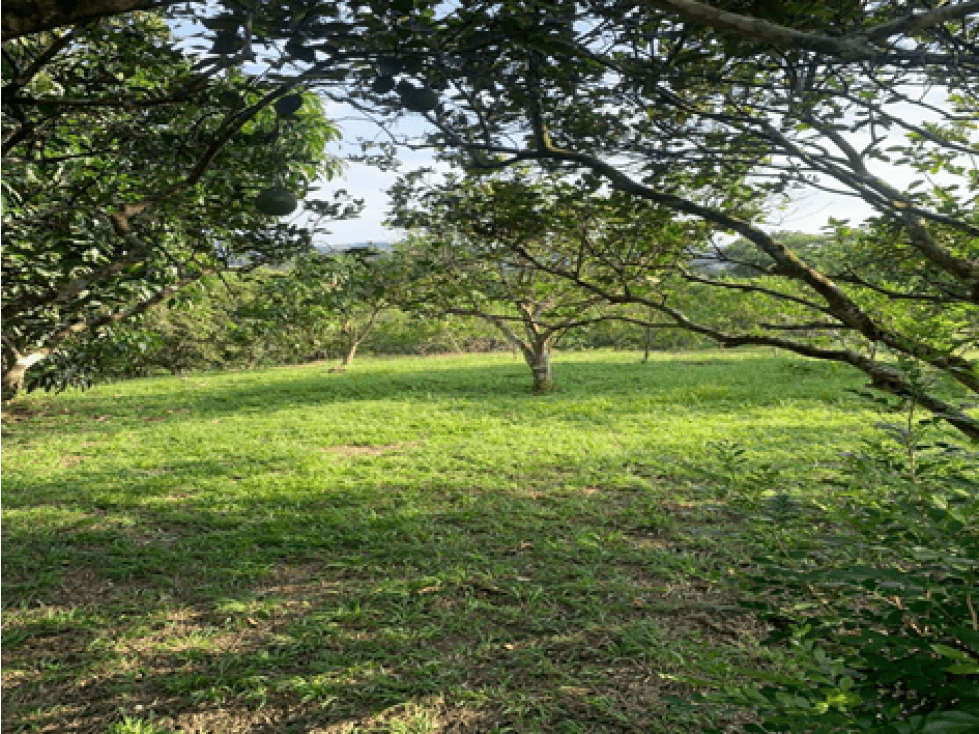 Venta Finca Viotá, Cundinamarca - 1