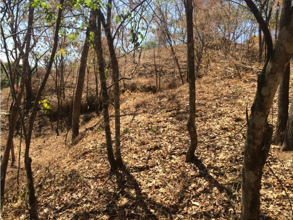 Venta De Lote En Parcelación Sopetran - 1