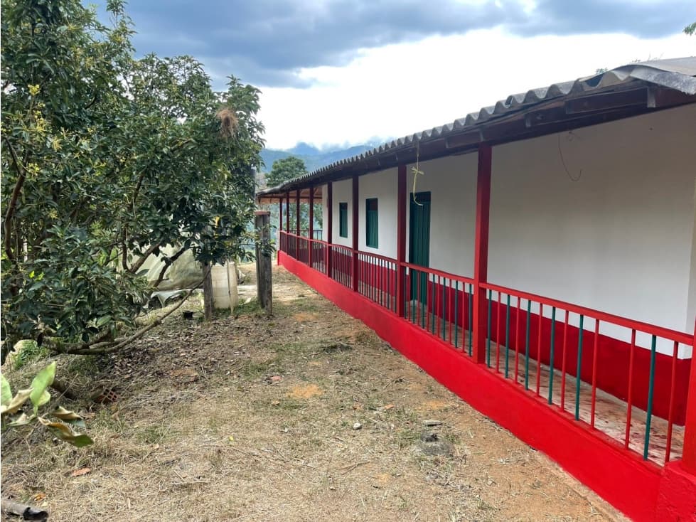 VENDO FINCA EN RISARALDA COLOMBIA - 1