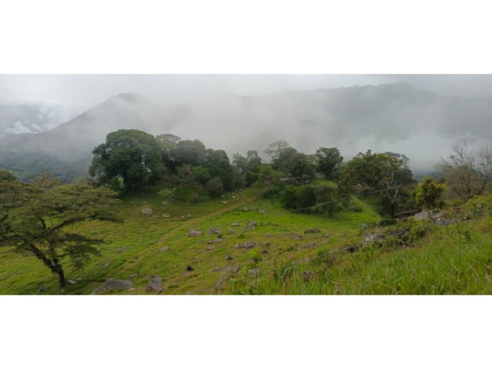 SE VENDE FINCA GANADERA VEREDA SAN BENITO AGUAZUL- VIA PAJARITO BOYACÁ - 1