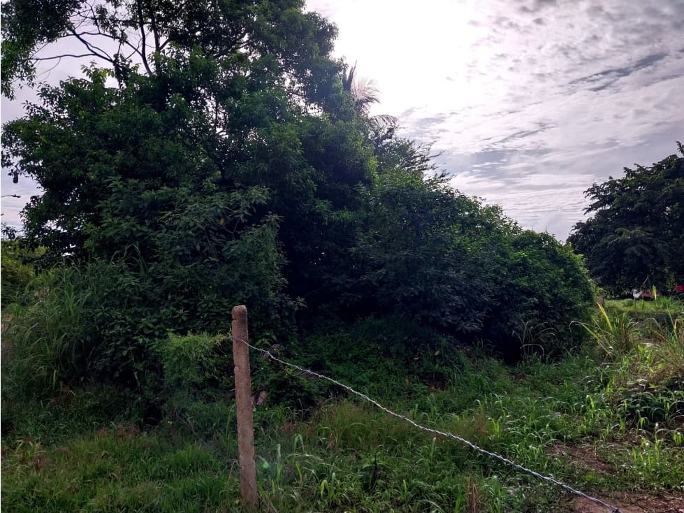 SE VENDE LOTE DE USO RESIDENCIAL EN MANI CASANARE - 1