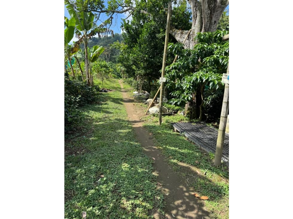 SE VENDE FINCA EN EL CORREGIMIENTO QUEBRADANEGRA,CALARCA QUINDIO - 1