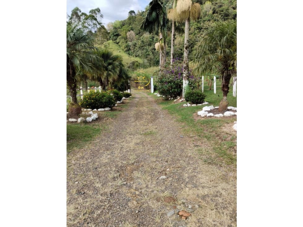 SE VENDE FINCA TURISTICA EN SALENTO QUINDIO - 1