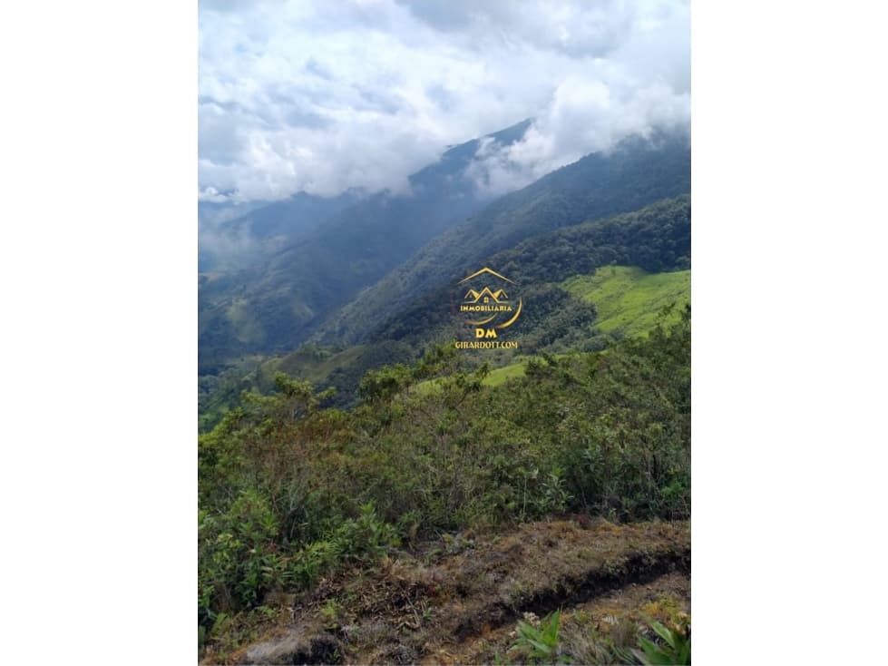 SE VENDE HERMOSA FINCA SOBRE LA CORDILLERA CENTRAL - 1