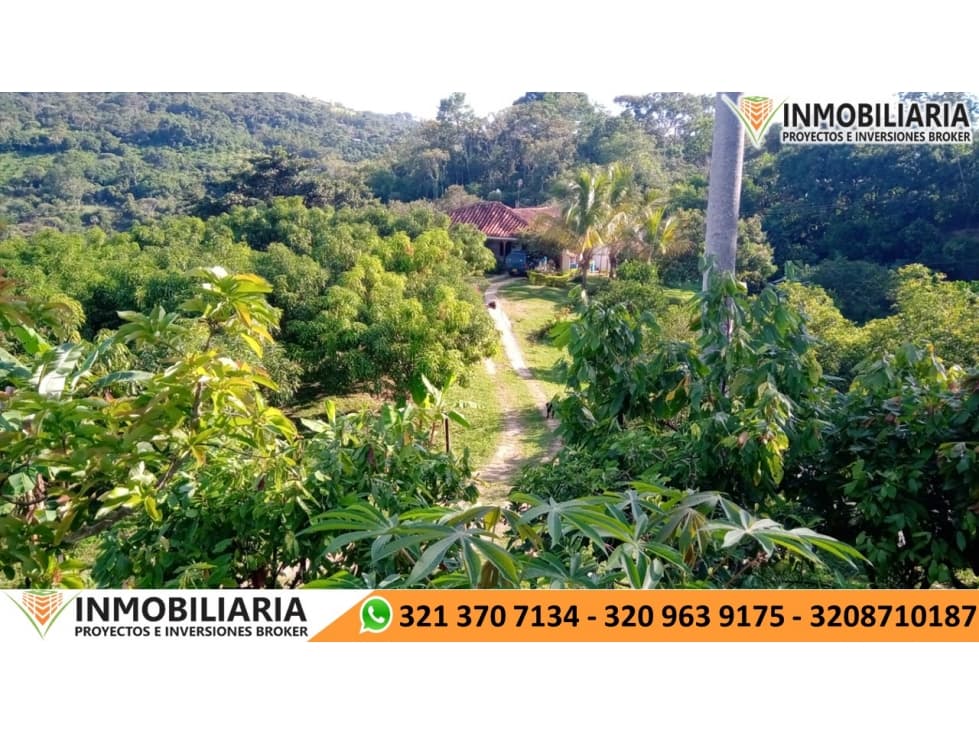 SE VENDE FINCA EN EL SOCORRO - 1