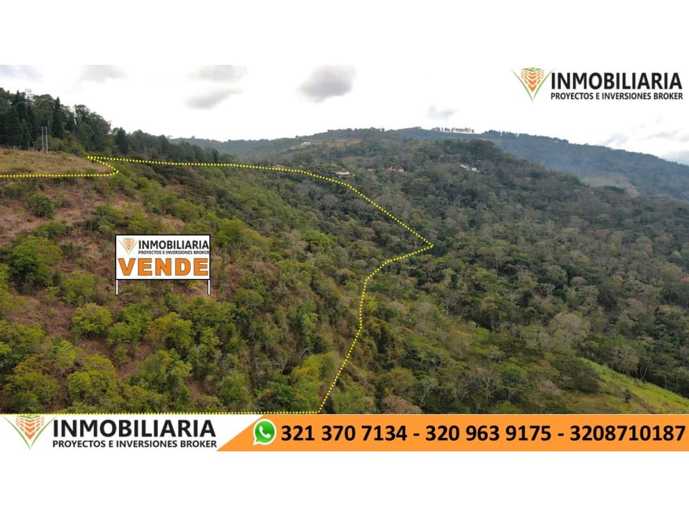 SE VENDE FINCA EN SAN GIL - 1