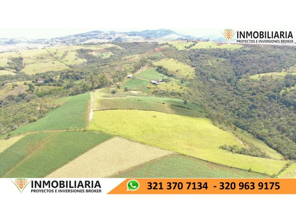 SE VENDE FINCA VEREDA LOS POZOS SAN GIL - 1