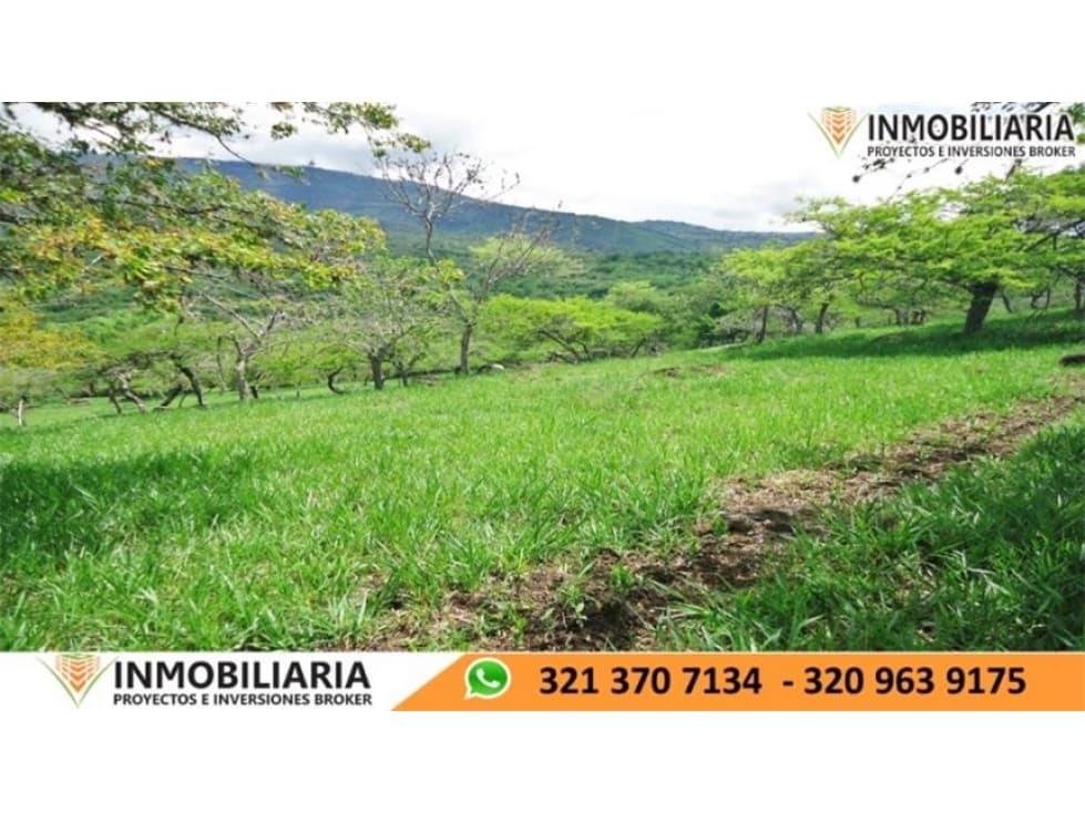 SE VENDE LOTE EN PINCHOTE - 1