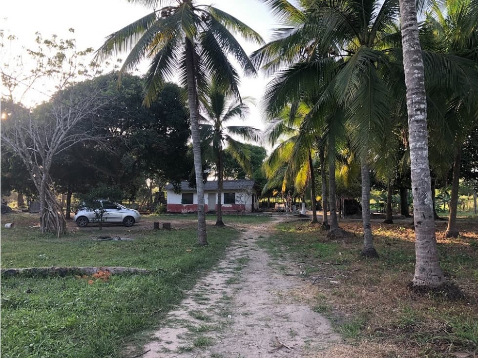Lote de uso mixto en Galapa-ENTRADA POR CIRCUNVALAR LA PROSPERIDAD - 1