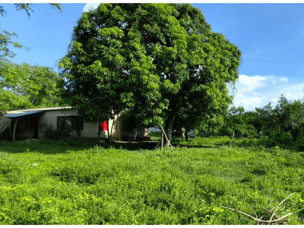 LOTE PARA VENTA MUNICIPIO SAMPUES - 1