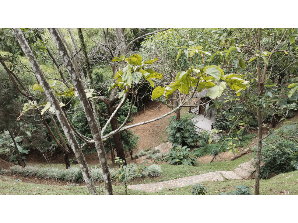Venta Lote La Doctora Sabaneta C7243277 - 1
