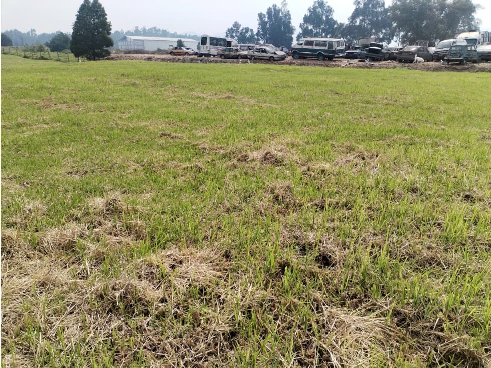 ARRIENDO LOTE SOACHA 8.000 M2 - 1