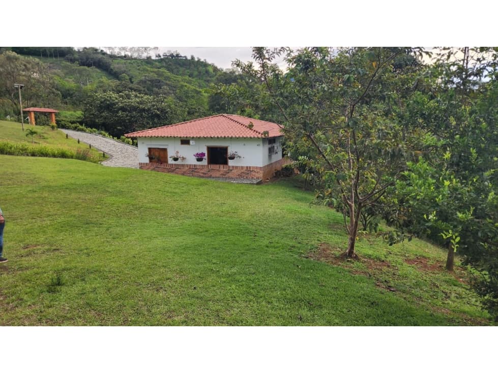 Venta de Finca Venecia Colonial - 1