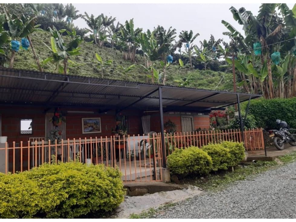 FINCA EN VENTA ANSERMA CALDAS - 1