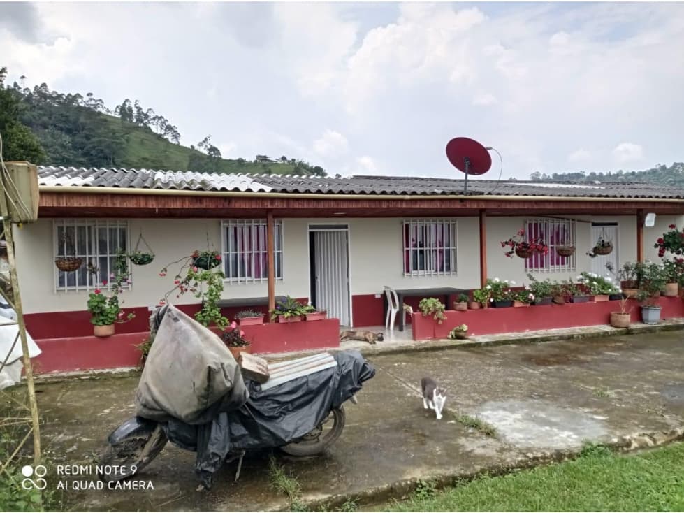 FINCA EN VENTA DOSQUEBRADAS LA ROMELIA EL RECUERDO - 1