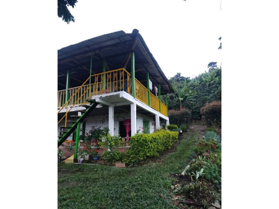 FINCA EN VENTA SAN JOSE-VITERBO CALDAS - 1