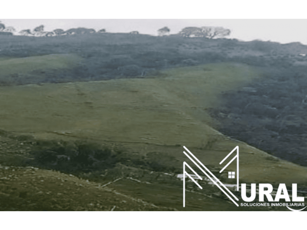 Finca La Miranda - Villamaría, Caldas - 1