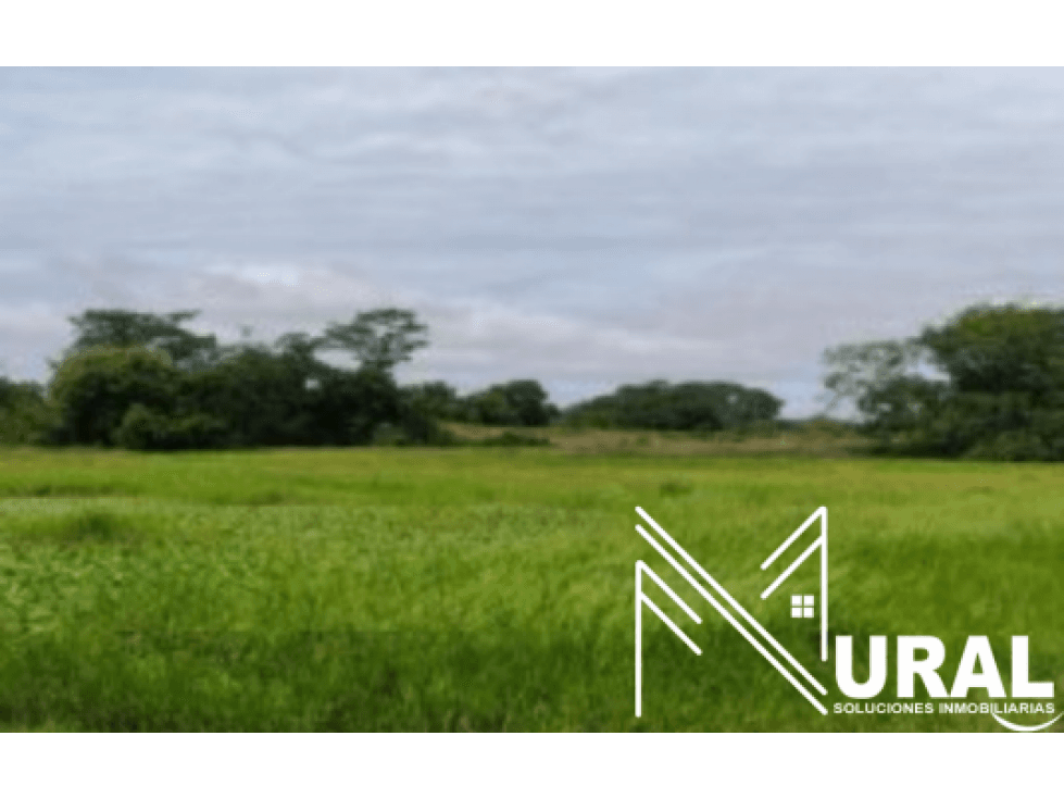 Lote en Loma Fresca en Puerto Wilches - Santander - 1