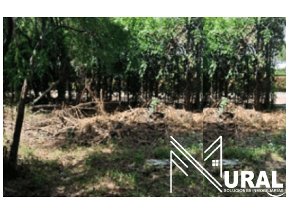 Lote - Terreno en Ricaurte, Cundinamarca - 1